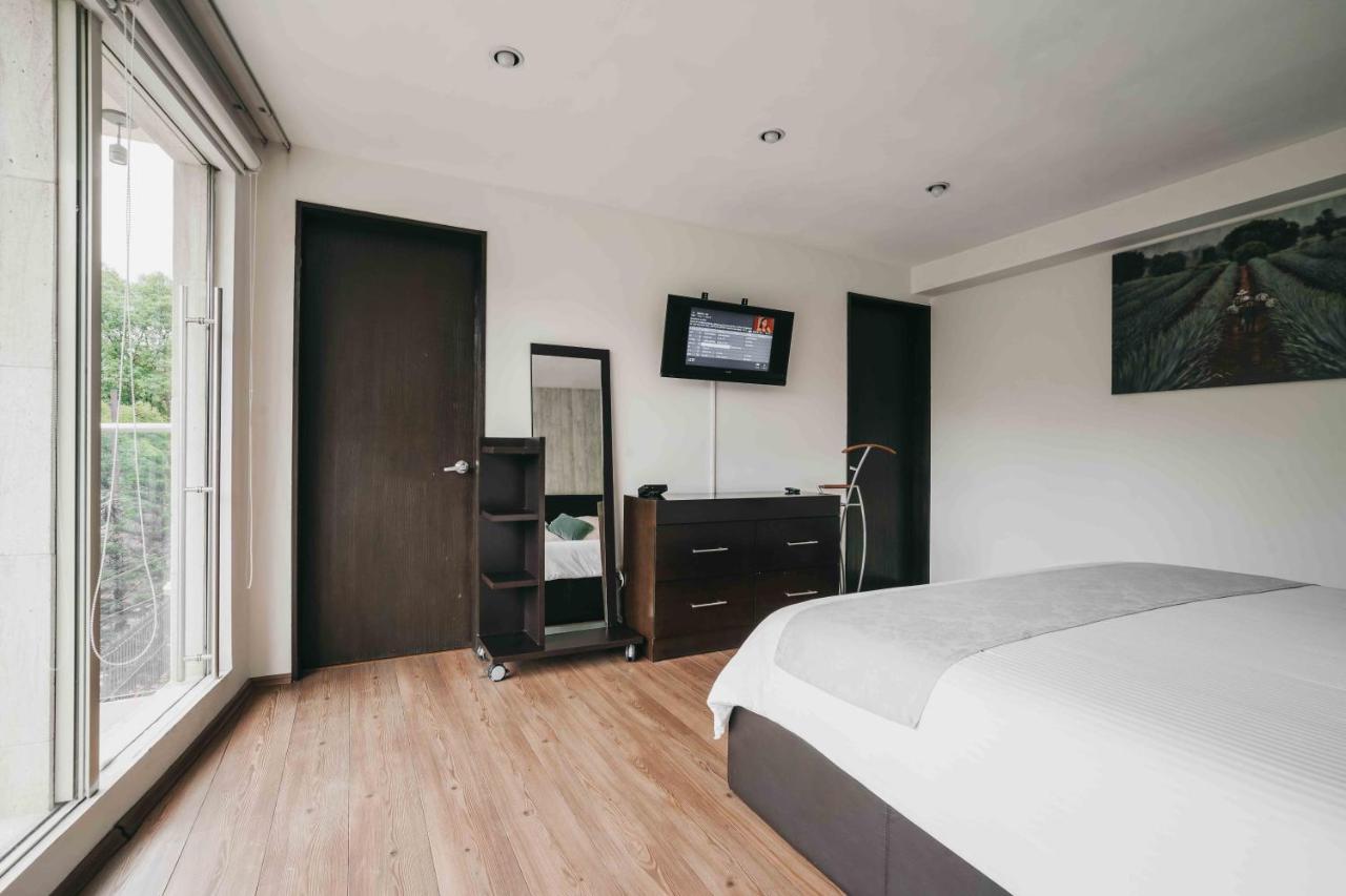 Suites Ciceron Meksika Dış mekan fotoğraf